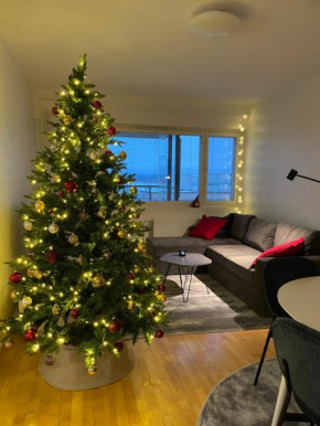 Arctic Circle City Apartment in Rovaniemi